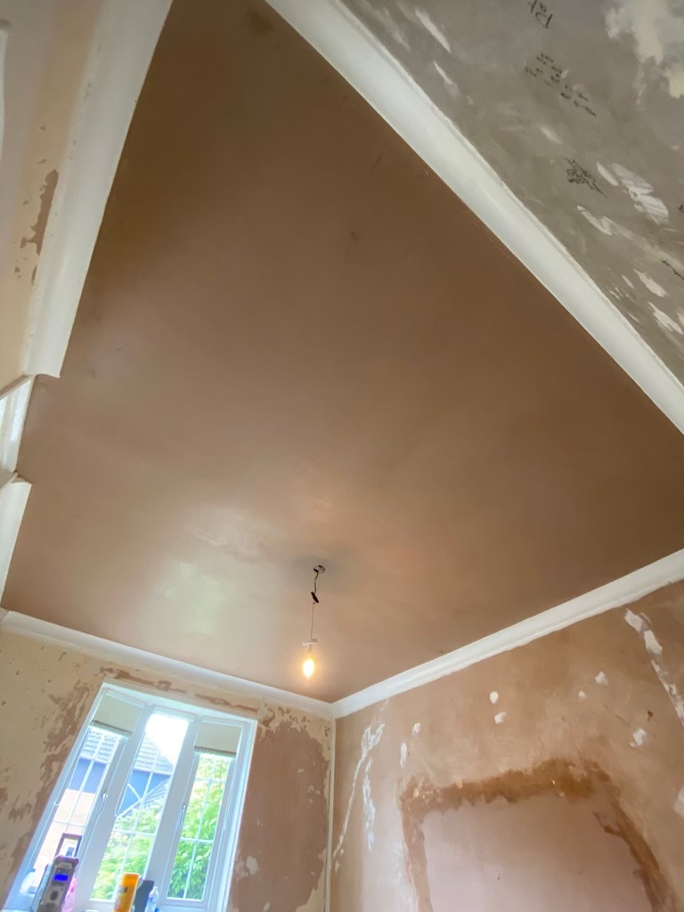 Newly skimmed ceiling with coving, plaster still drying